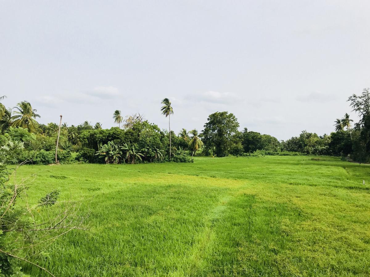 Nil Arana Resort Polonnaruwa Exterior photo